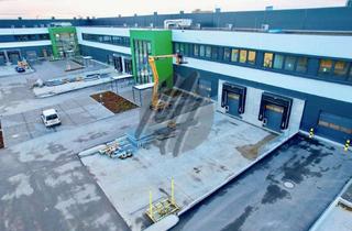 Büro zu mieten in 65462 Ginsheim-Gustavsburg, KEINE PROVISION ✓ NEUBAU / ERSTBEZUG ✓ 24/7 ✓ WGK ✓ Lager-/Logistik (6.000 m²) & Büro (500 m²)