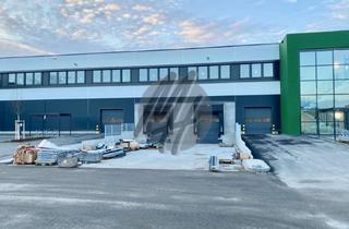 Büro zu mieten in 65462 Ginsheim-Gustavsburg, KEINE PROVISION ✓ NEUBAU / ERSTBEZUG ✓ 24/7 ✓ WGK ✓ Lager-/Logistik (8.000 m²) & Büro (600 m²)