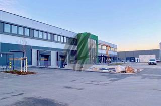 Büro zu mieten in 65462 Ginsheim-Gustavsburg, KEINE PROVISION ✓ NEUBAU / ERSTBEZUG ✓ 24/7 ✓ WGK ✓ Lager-/Logistik (15.500 m²) & Büro (1.000 m²)