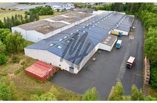 Gewerbeimmobilie kaufen in 63477 Maintal, Gewerbeobjekt mit Lager (8.500 m²) & Büro (800 m²) zu verkaufen