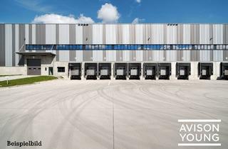 Gewerbeimmobilie mieten in 55450 Langenlonsheim, VERMIETUNG: Bis zu 16.000 m² Neubau-Logistikfläche auf 24.000 m² Grundstück, teilbar ab 3.000 m²
