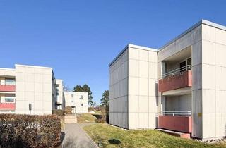 Anlageobjekt in 95138 Bad Steben, Investmentpaket aus 2 Wohngebäuden mit 4 Hauseingängen in 95138 Bad Steben