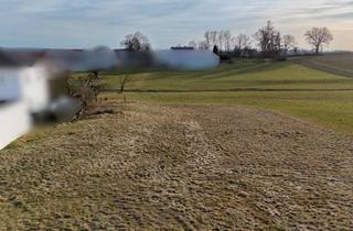 Grundstück zu kaufen in 85235 Odelzhausen, Attraktives Baugrundstück in Odelzhausen-Roßbach – ideal für zwei Doppelhaushälften