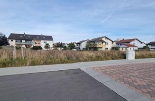Grundstück zu kaufen in Wolfgang-Daffinger-Str, 69469 Weinheim, Grundstück für freistehendes Einfamilienhaus