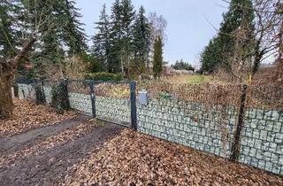 Grundstück zu kaufen in 15806 Zossen, Grundstück 1361m² , bauträgerfrei, erschlossen in 15806 Dabendorf