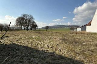 Grundstück zu kaufen in 89434 Blindheim, Ruhig Wohnen im Grünen – Großes Baugrundstück in Wolpertstetten