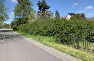 Grundstück zu kaufen in Nürnberger Str., 15366 Hoppegarten, Baugrundstück in Toplage von Hönow – bauträgerfrei