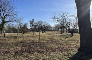 Grundstück zu kaufen in 23972 Lübow, positive Bauvoranfrage- Grundstück nähe Gemeinde Lübow