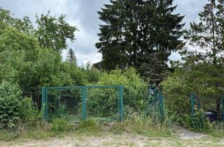 Grundstück zu kaufen in 16321 Bernau, DEUTSCHMANN IMMOBILIEN ***** ivd - Sonniger Baugrund mit Abrisshaus in begehrter Lage von Bernau!