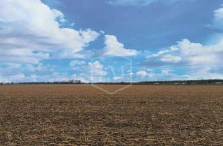 Immobilie kaufen in 50374 Erftstadt, Ackerlandparzellen in Erftstadt