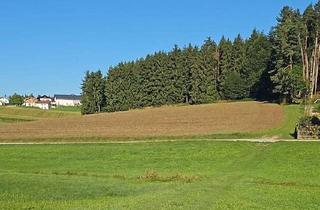 Gewerbeimmobilie kaufen in 84568 Pleiskirchen, Attraktive Wiesen- und Ackerflächen in ländlicher Lage