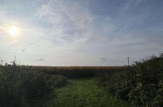 Gewerbeimmobilie kaufen in 86668 Karlshuld, Ca. 4,2 ha Ackerland in Karlshuld!