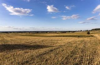 Gewerbeimmobilie kaufen in 85123 Karlskron, Fruchtbares Ackerland in attraktiver Südlage!