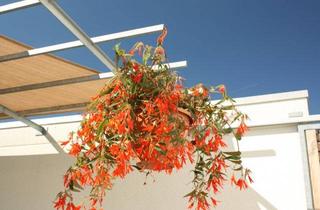 Grundstück zu kaufen in 85521 Ottobrunn, Familientraum: Grundstück mit projektiertem EFH– clever starten mit 1 % Erbbaupacht - 12.000 €/Jahr