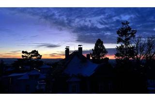 Wohnung mieten in 01324 Bühlau/Weißer Hirsch, Dachterrasse * EBK * GWC * AUSBLICK