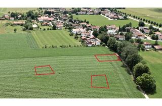 Grundstück zu kaufen in Bitzenweg 00, 83624 Otterfing, !! NUR NOCH 3 VERFÜGBAR !! Investieren Sie in ein Grundstück mit Alpenblick in Otterfing"