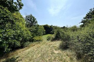 Grundstück zu kaufen in 35683 Dillenburg, 6.000m² Entwicklungsgrundstück in Aussichtslage