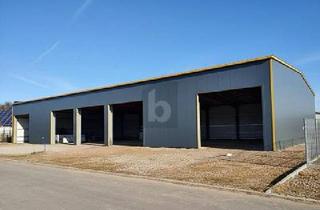 Gewerbeimmobilie kaufen in 87784 Westerheim, NEUBAU NACH IHREN ANFORDERUNGEN