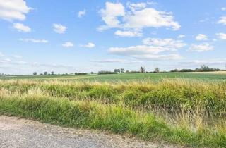 Garagen kaufen in 68623 Lampertheim, Grundstück in Lampertheim: Baugenehmigung liegt vor – Ihr Neubau-Projekt ist startklar!