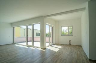 Wohnung kaufen in 74889 Sinsheim, Großzügige 3-Zimmer-Penthaus Wohnung mit tollem Grundriss!