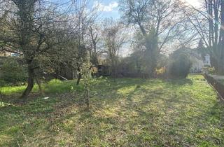 Immobilie kaufen in 69231 Rauenberg, Eine Baulücke für Ihr eigenes Familien-Zuhause!