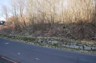 Immobilie kaufen in 97769 Bad Brückenau, großzügiges Baugrundstück in Bad Brückenau