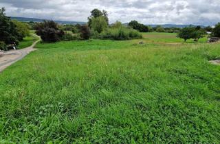 Immobilie kaufen in 96146 Altendorf, Attraktives Grundstück mit viel Entwicklungspotential