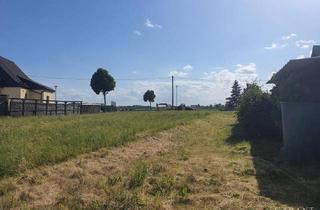 Immobilie kaufen in 04886 Beilrode, Großzügiges Baugrundstück in Beilrode