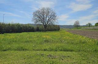 Garagen kaufen in 78266 Büsingen, Das perfekte Grundstück mit oder ohne Wohnhaus - Mehrere Erwerbsmöglichkeiten realisierbar!