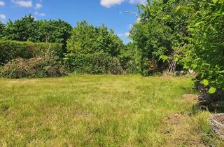 Immobilie kaufen in 04552 Borna, Bauträgergebundenes Grundstück, welches sofort bebaut werden kann