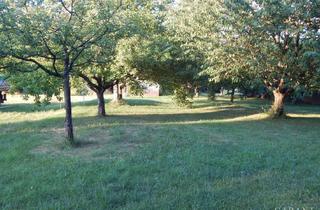 Immobilie kaufen in 73035 Göppingen, Traumhaftes Grundstück in exzellenter Lage mit großzügigem Gartenparadies