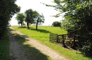 Immobilie kaufen in 04668 Grimma, Zukünftiges Wohngrundstück zu verkaufen