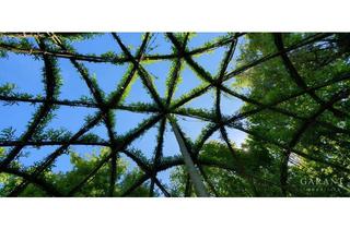 Immobilie kaufen in 85276 Pfaffenhofen, Freizeitgrundstück mit Holzhütte, Obstbäumen & kleinem Waldgebiet in Affalterbach bei Pfaffenhofen