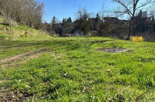 Immobilie kaufen in 79879 Wutach, Vielseitig nutzbares Grundstück im Mischgebiet von Wutach-Ewattingen