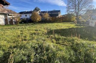 Immobilie kaufen in 83629 Weyarn, Attraktives Baugrundstück in Weyarn - unter dem Bodenrichtwert!