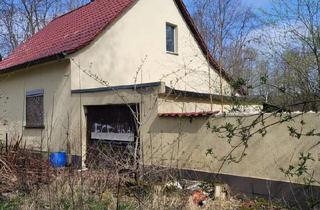 Einfamilienhaus kaufen in 03253 Doberlug-Kirchhain, Doberlug-Kirchhain - Einfamilienhaus, Handwerkerhaus, Waldgrundstück