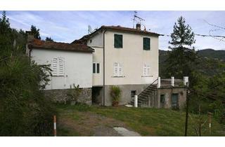 Haus kaufen in 85283 Wolnzach, Wolnzach - Haushälfte in Ligurien