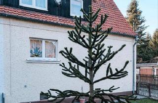 Doppelhaushälfte kaufen in 98547 Schwarza, Schwarza - Platz für Träume: Gepflegte DHH auf 1.200 m² Naturgrundstück