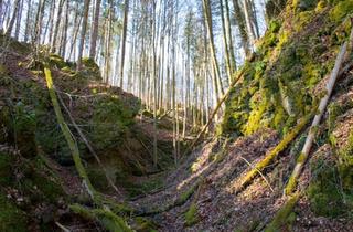 Einfamilienhaus kaufen in 38300 Wolfenbüttel, Wolfenbüttel - ** Immobilie MFH in Wolfenbüttel vermietet 1900? mtl KALTMIETE **