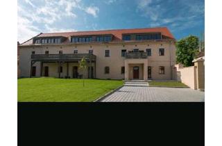 Wohnung kaufen in 01809 Heidenau, Heidenau - 2 Zimmer Wohnung in Heidenau Denkmalschutz, 2017 Bezugsfertig.