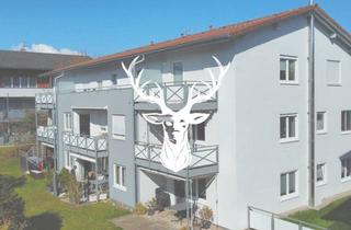 Wohnung kaufen in 79774 Albbruck, Sanierte Eigentumswohnung in ruhiger und beliebter Lage von Albbruck zu verkaufen