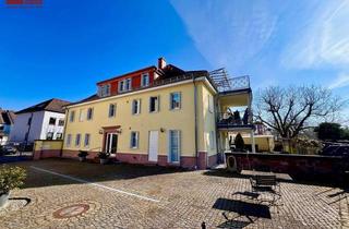 Wohnung mieten in 63075 Bürgel, 122 m² Open Space DG mit Mainblick – außergewöhnliche Wohnung für Individualisten