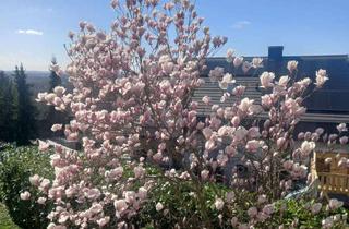 Wohnung mieten in 79415 Bad Bellingen, Freundliche 2-Zimmer-Wohnung