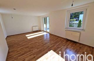 Wohnung mieten in 02692 Obergurig, 2-RWE in Obergurig mit gr. Balkon