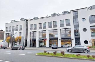 Wohnung mieten in 01796 Pirna, Helle 2-Raumwohnung mit offener Küche in attraktiver Lage Pirnas