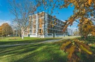 Wohnung mieten in 38440 Hohenstein, Stadtgarten Wellekamp- Stilvolle Wohnung mit großzügigem Raumgefühl