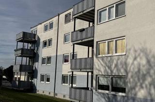 Wohnung mieten in Rheinblick, 55263 Wackernheim, Schöne 3 ZKB Balkon Wohnung in Ingelheim