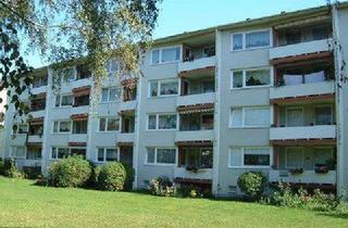 Wohnung mieten in Nansenstr. 11, 90439 Sündersbühl, Hübsche Dreizimmerwohnung in Sündersbühl mit Loggia! Zeitmietvertrag bis August 2028!