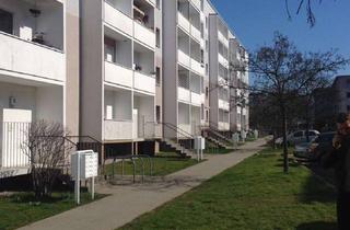 Wohnung mieten in 14806 Bad Belzig, FRISCH RENOVIERTE Lichtdurchflutete 4-Zimmer-Wohnung mit Balkon