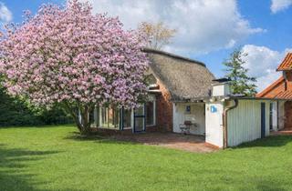 Haus kaufen in 21706 Drochtersen, Reetdach-Ensemble - Zwei Wohnhäuser sowie Baugrundstück mit positivem Bauvorbescheid